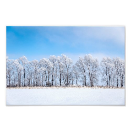 Winter Scene Photo Print