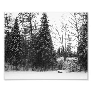 Winter Scene Photo Print BW