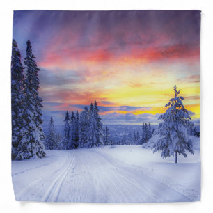 Winter scenery   bandana