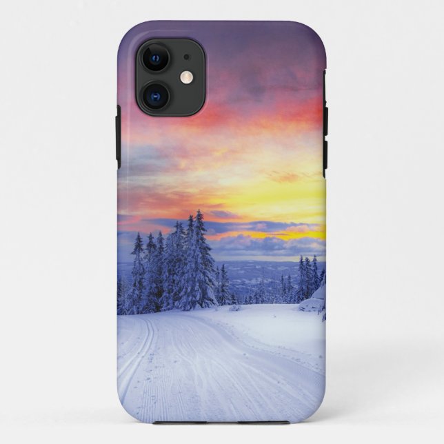 Winter scenery Case-Mate iPhone case (Back)
