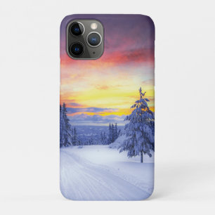 Winter scenery   iPhone 11 pro case