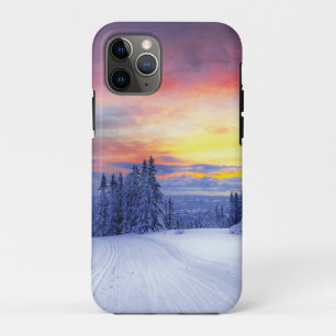 Winter scenery iPhone 11 pro case