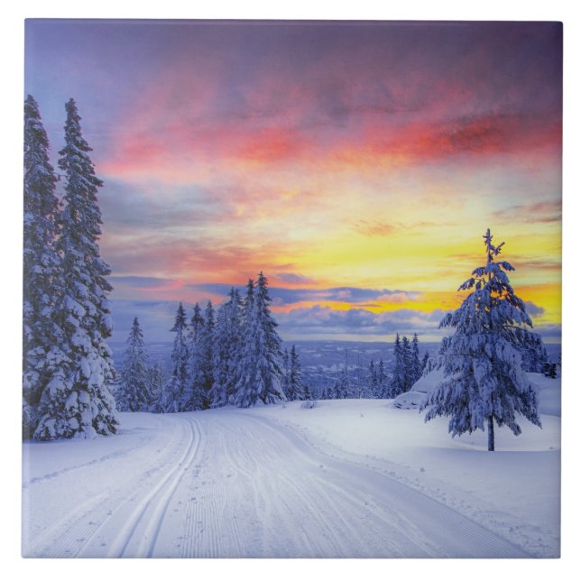 Winter scenery   ceramic tile (Front)