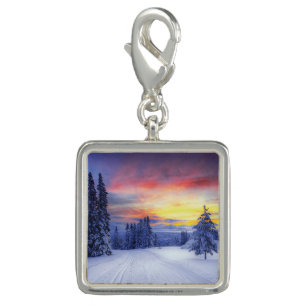 Winter scenery charm
