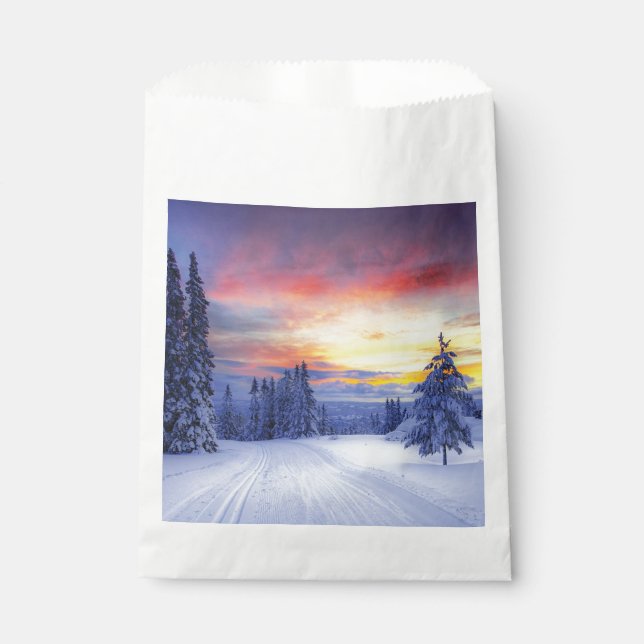 Winter scenery favor bag (Front)