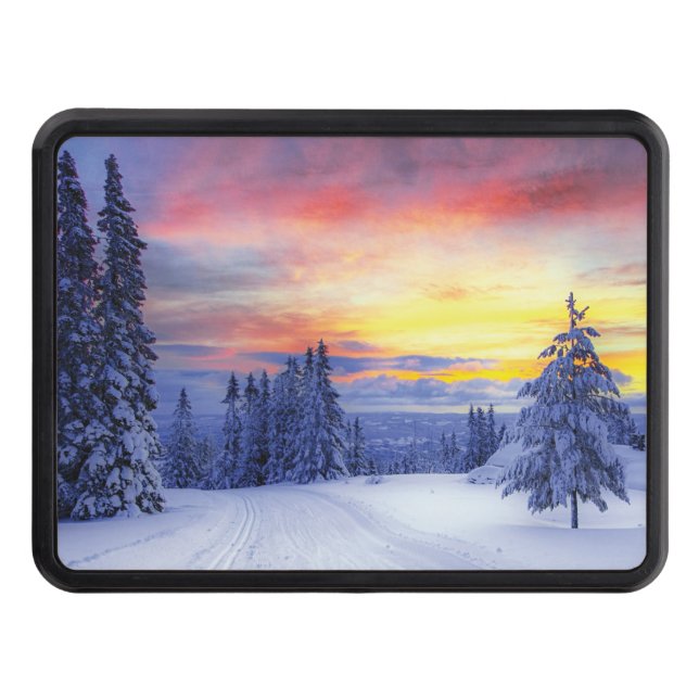 Winter scenery   hitch cover (Front)