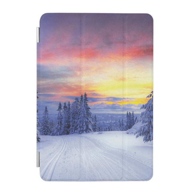 Winter scenery iPad mini cover (Front)