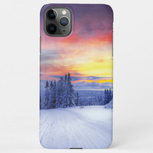 Winter scenery   iPhone 11Pro max case