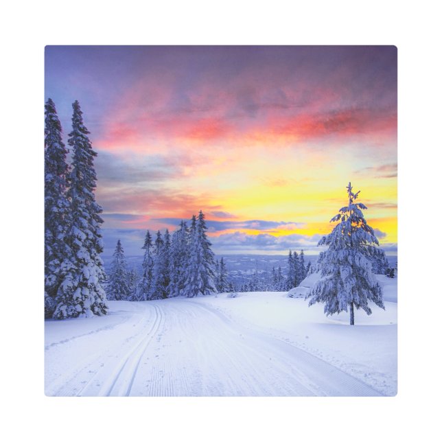 Winter scenery   metal print (Front)