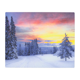 Winter scenery metal print