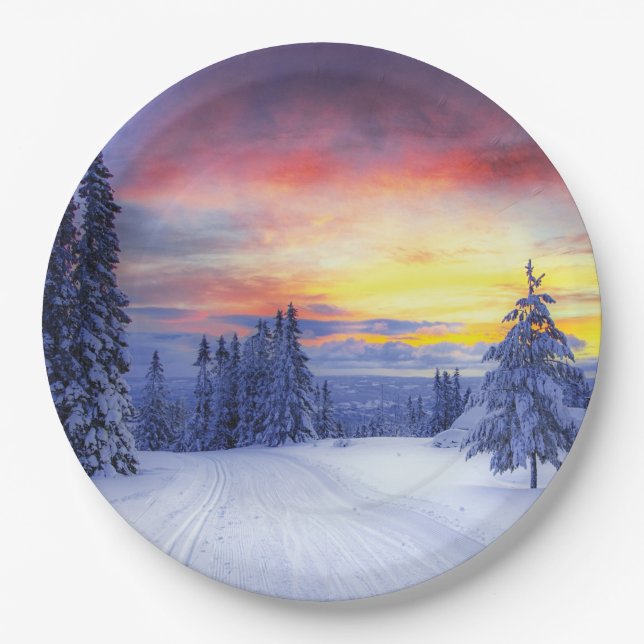 Winter scenery   paper plates (Front)