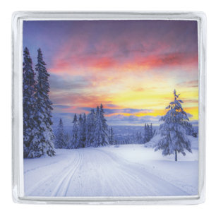 Winter scenery  silver finish lapel pin