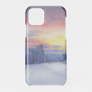 Winter scenery iPhone 11 pro case