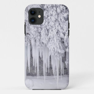 winter-scenes-106 iPhone 11 case