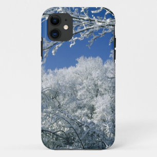 winter-scenes-48 iPhone 11 case
