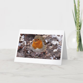 Winter scenes -Robin -greeting card