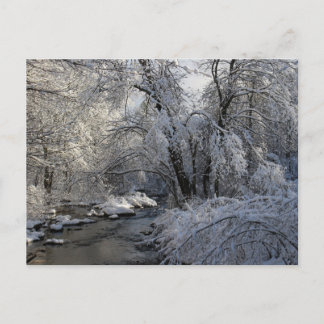 Winter Scenic Landscape Postcard