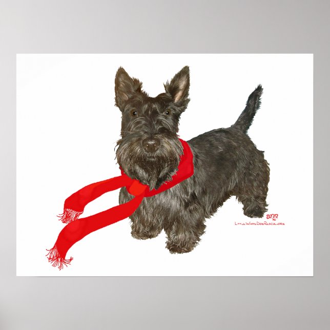 Winter Scottie in Wam Scarf Poster (Front)
