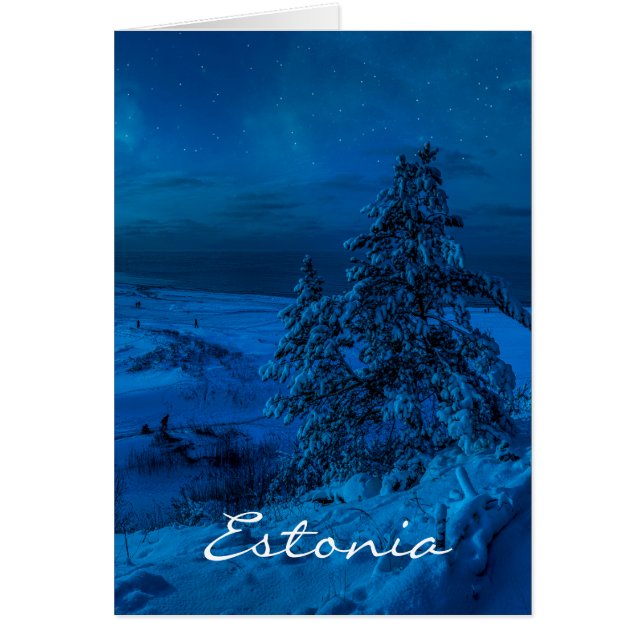 Winter sea coast in moonlight cards (Front)