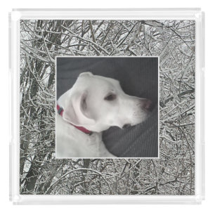 Winter Season Snowy Branches Frame One Photo Acrylic Tray