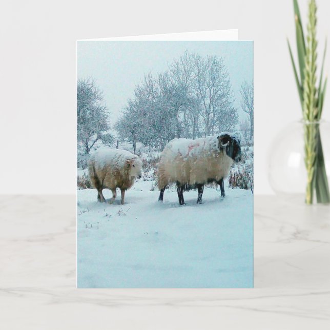 Winter Sheep in Snow Scene Customizable Card (Front)