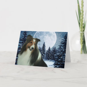 Winter Sheltie Card