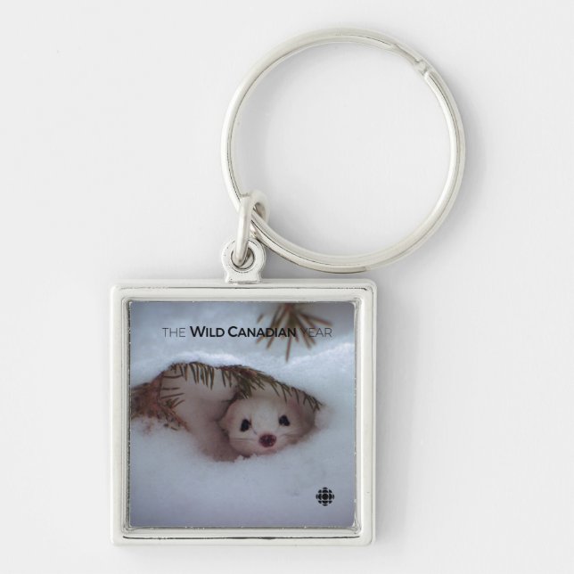 Winter - Short-Tailed Weasel Keychain (Front)