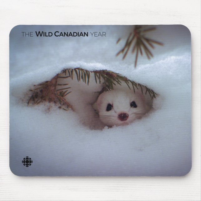 Winter - Short-Tailed Weasel Mouse Pad (Front)