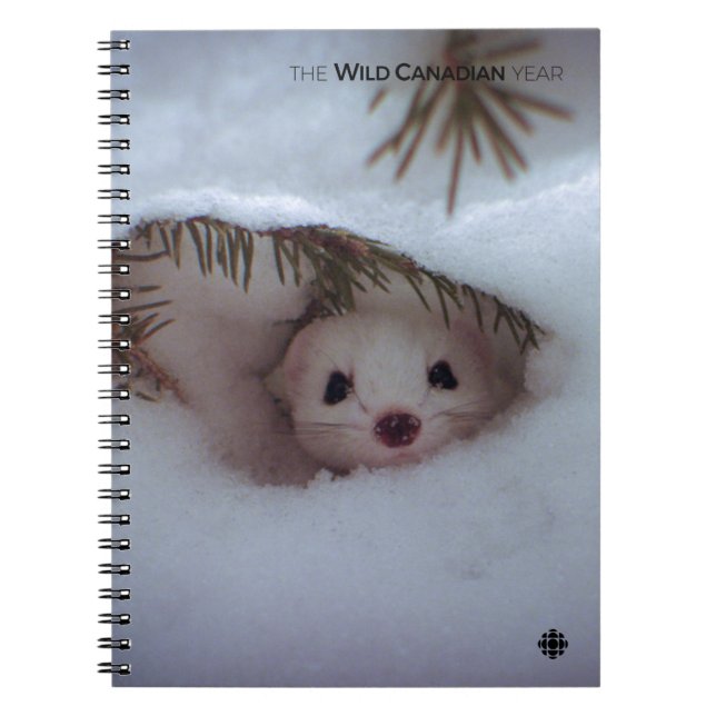 Winter - Short-Tailed Weasel Notebook (Front)