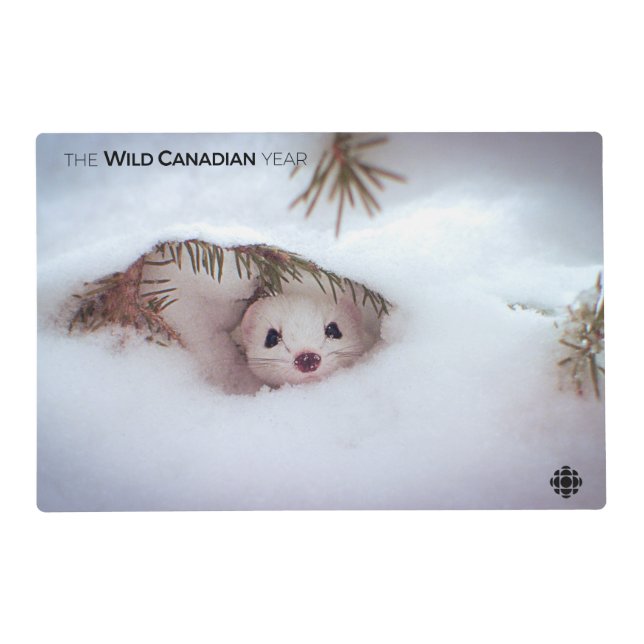 Winter - Short-Tailed Weasel Placemat (Front)