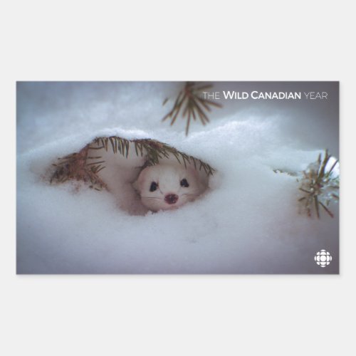 Winter _ Short_Tailed Weasel Rectangular Sticker