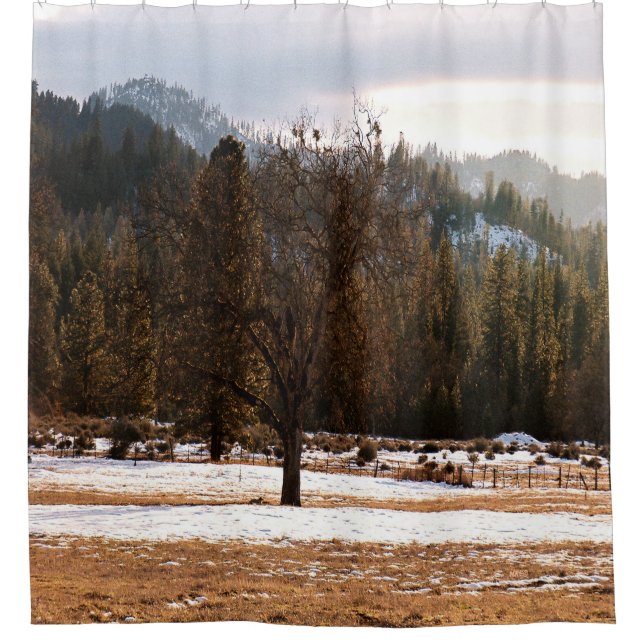 Winter..... Shower Curtain (Front)