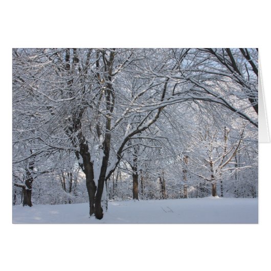 Winter Shroud Cards (Front Horizontal)