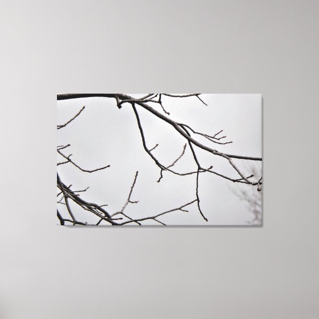 Winter Sky Canvas Art Print (Front)