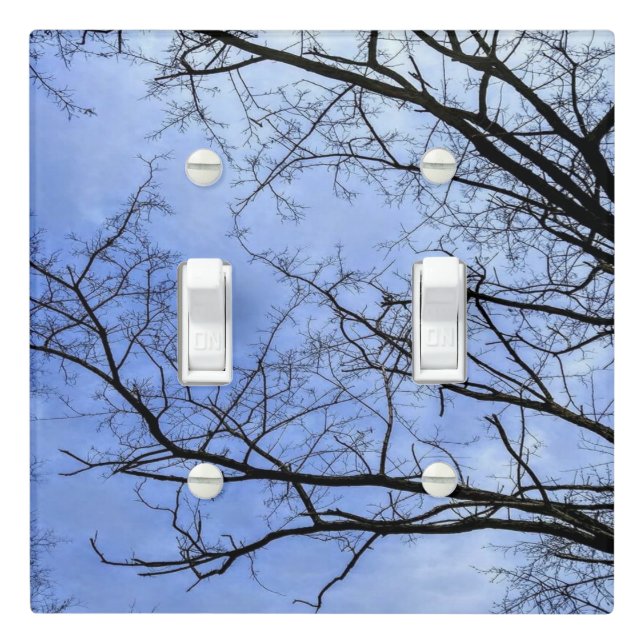 Winter Sky Light Switch Cover (In Situ)