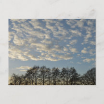 Winter Sky