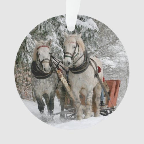 Winter Sleigh Ride Color Image Ornament