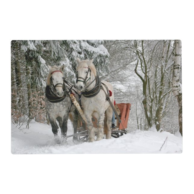 Winter Sleigh Ride Color Image Placemat (Front)