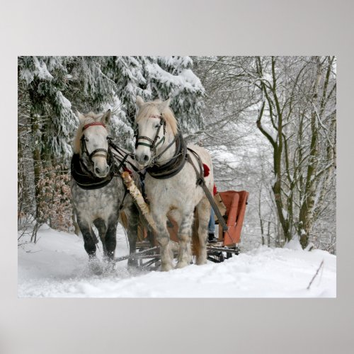 Winter Sleigh Ride Color Image Poster