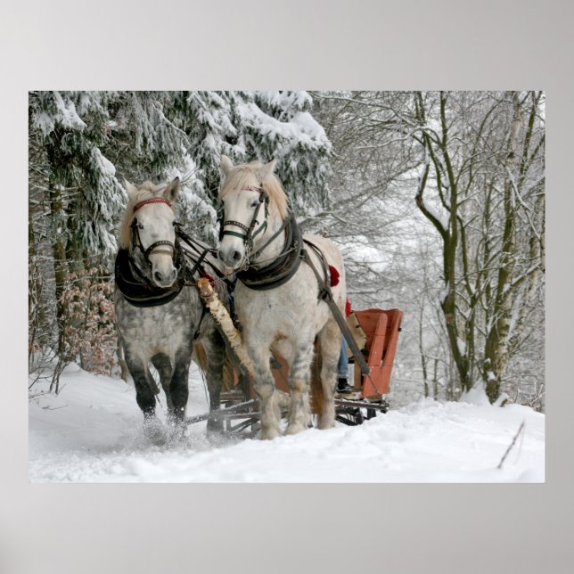 Winter Sleigh Ride Color Image Poster (Front)