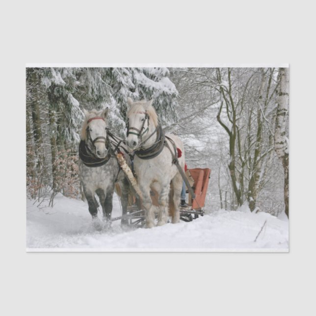 Winter Sleigh Ride Color Image Tissue Paper (Front)