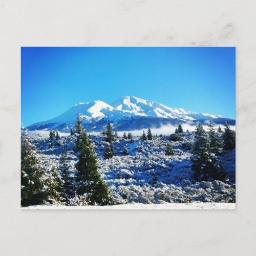 Winter Snow at Mount Shasta CA Postcard