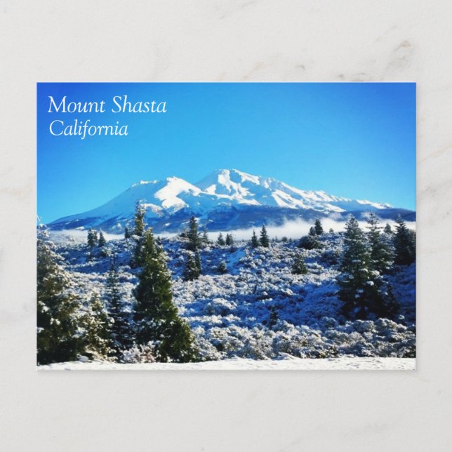 Winter Snow at Mount Shasta, CA Postcard (Front)
