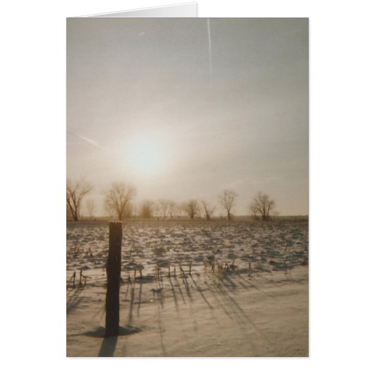 Winter Snow Cards (Front)