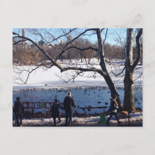 Winter Snow Central Park Lake New York City NYC Postcard