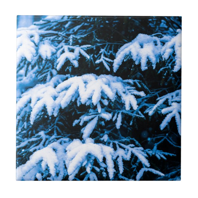 Winter Snow Christmas Tree Ceramic Tile (Front)