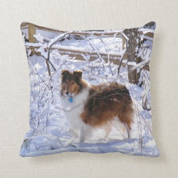 Winter Snow Collie Pillow by DesireeGriffiths at Zazzle