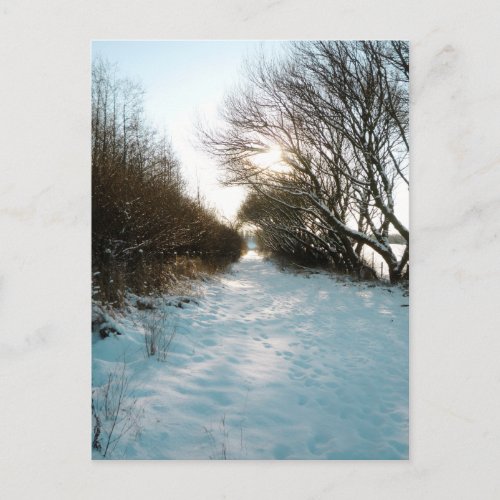 Winter Snow Covered English Countryside Path Postcard