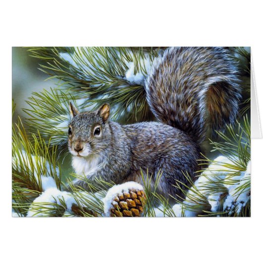 Winter Snow ... Gray (Grey) Squirrel Cards (Front Horizontal)
