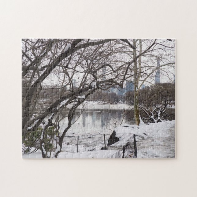Winter Snow in Central Park New York City NYC Jigsaw Puzzle (Horizontal)